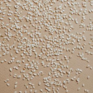 Natural/ White Sesame Seeds