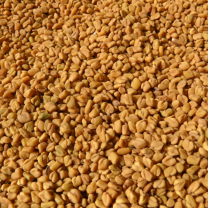 Fenugreek Seeds