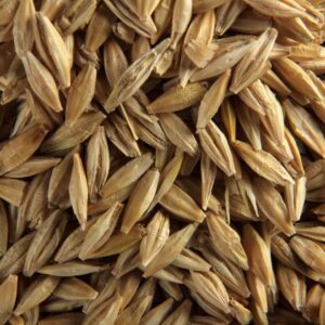 Barley