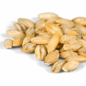 Barley
