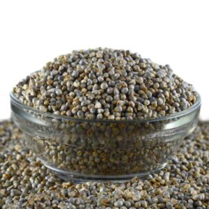 Pearl Millet/ Bajra