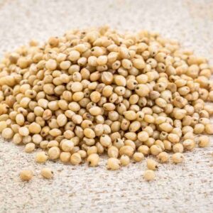 Sorghum/ Jawar