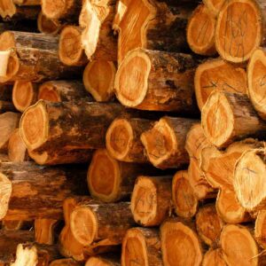 Teak Wood